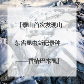 泰山首次发现山东省昆虫新记录种——香椿巴木虱